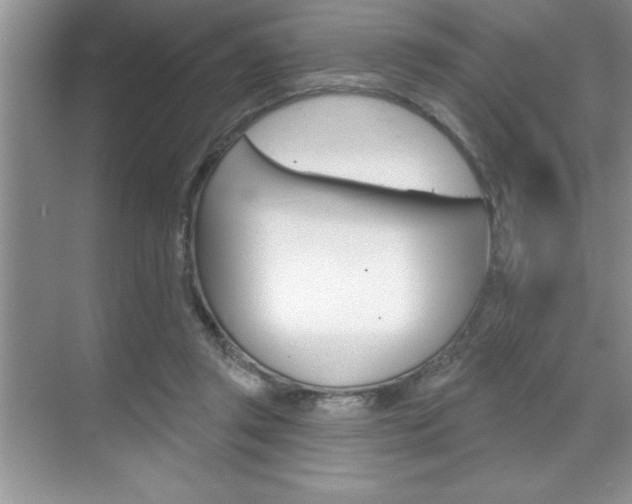 X0000070360357200606090806