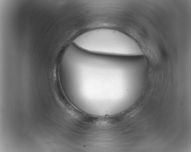 X0000070360358200606090806