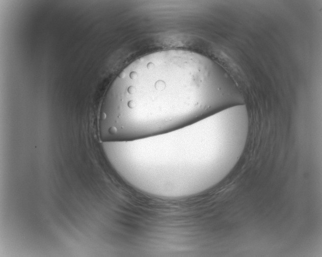 X0000070360359200606090806