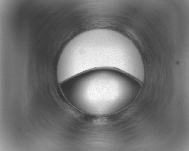 X0000070360362200606090806