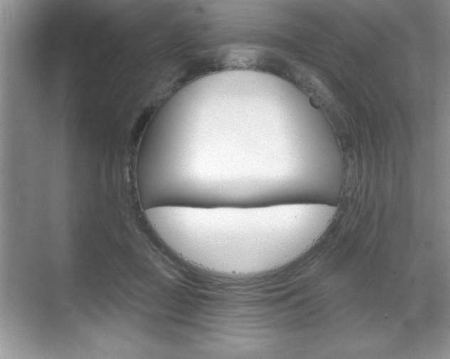 X0000070360363200606090806