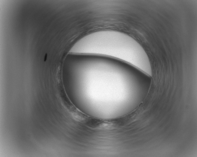 X0000070360364200606090806