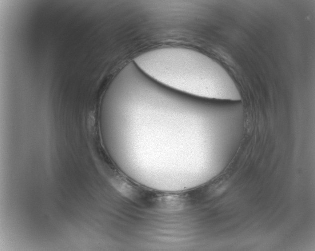 X0000070360365200606090806