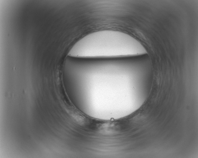 X0000070360366200606090806