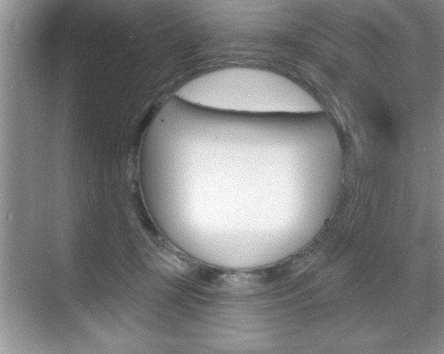 X0000070360367200606090806