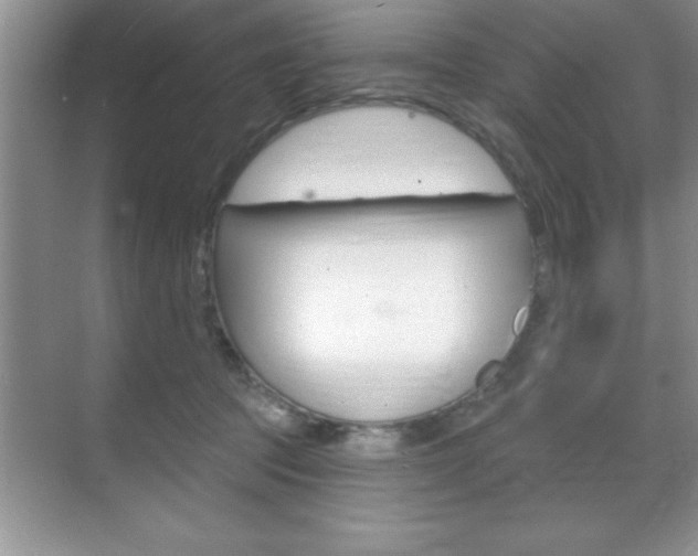 X0000070360369200606090806