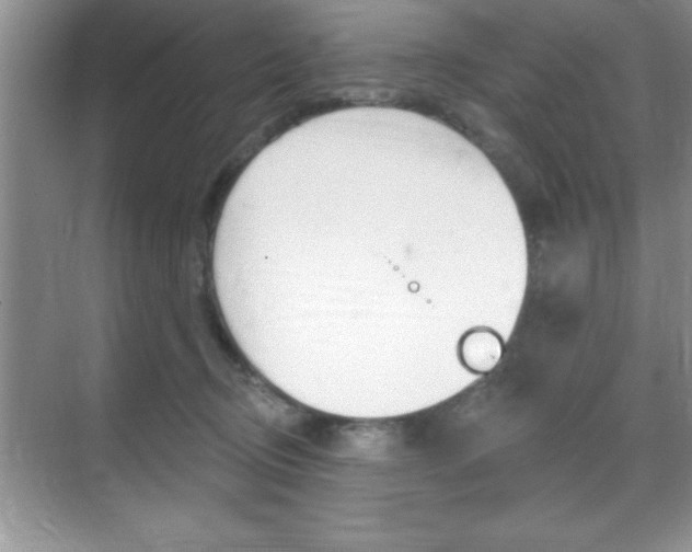 X0000070360370200606090806