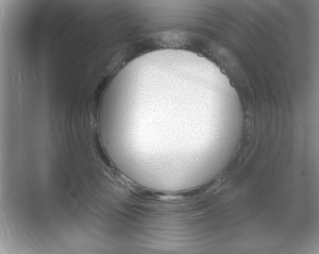 X0000070360371200606090806