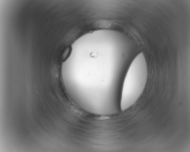 X0000070360374200606090806