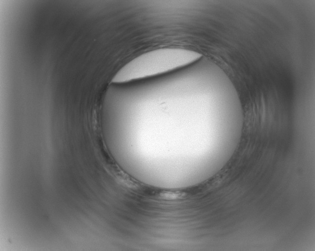 X0000070360375200606090806