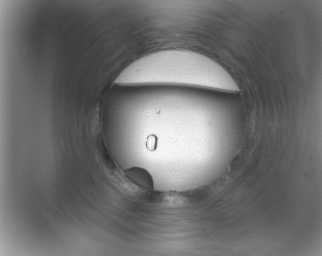 X0000070360376200606090806