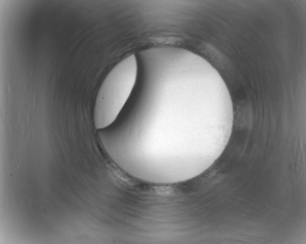 X0000070360377200606090806