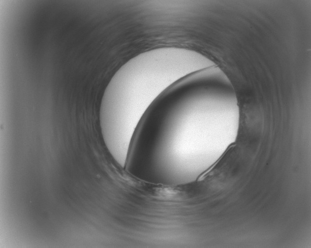 X0000070360380200606090806