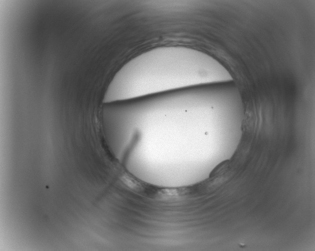 X0000070360381200606090806