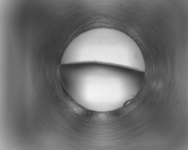 X0000070360382200606090806