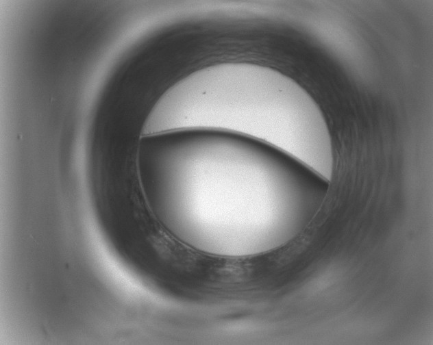 X0000070360383200606090806