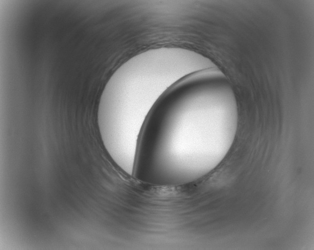 X0000070360384200606090806