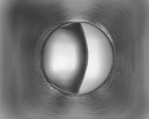 X0000070360385200606090805