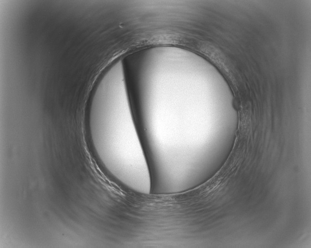 X0000070360386200606090805