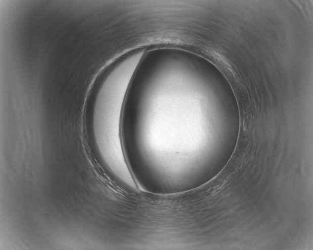 X0000070360388200606090805