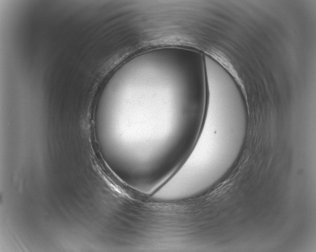 X0000070360389200606090805