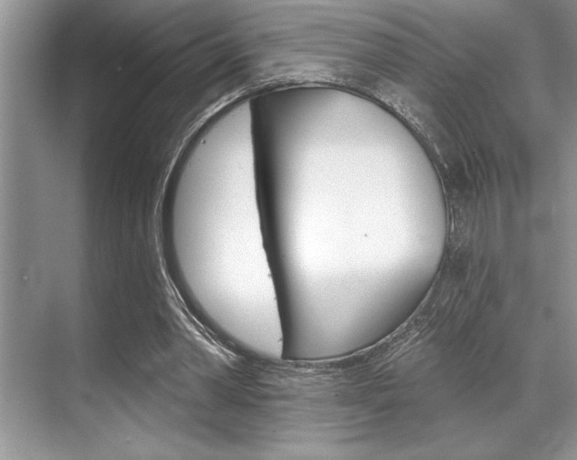 X0000070360390200606090805