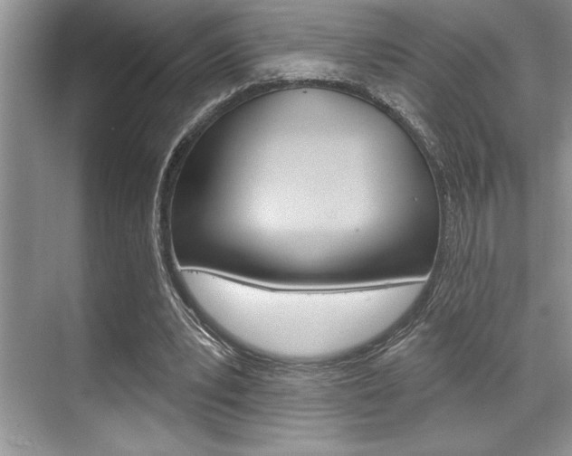 X0000070360391200606090805