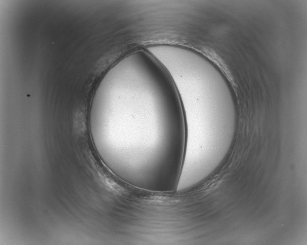 X0000070360393200606090805