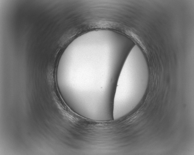 X0000070360394200606090805