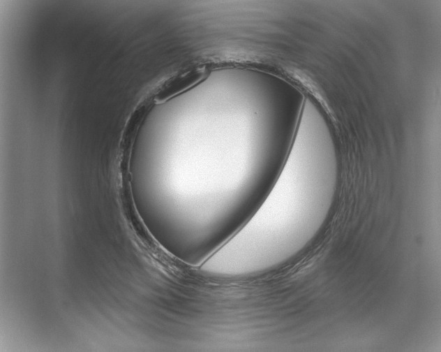 X0000070360395200606090805