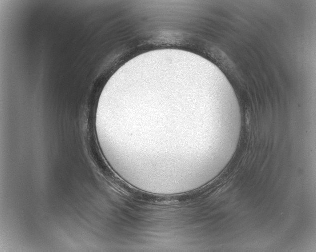 X0000070360396200606090805