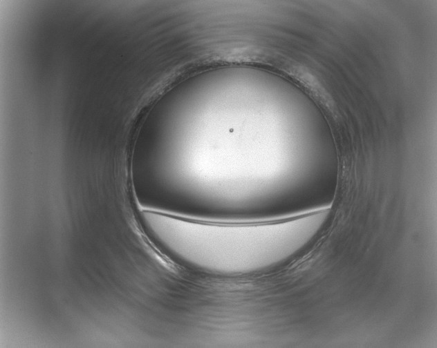 X0000070360397200606090805