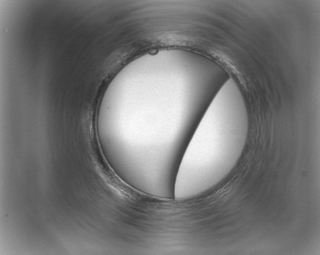 X0000070360398200606090805