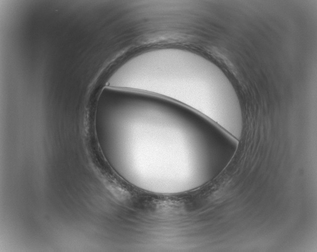 X0000070360400200606090805