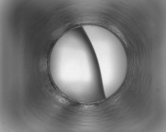 X0000070360401200606090805