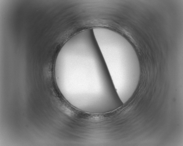 X0000070360402200606090805