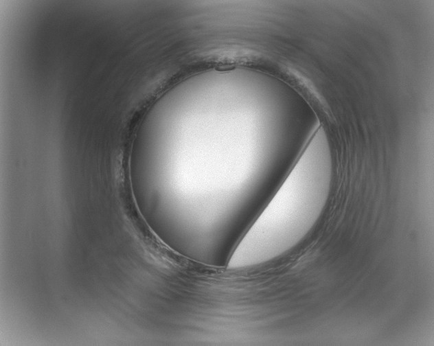 X0000070360403200606090805