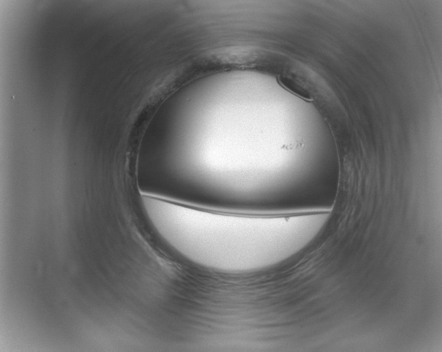 X0000070360404200606090805