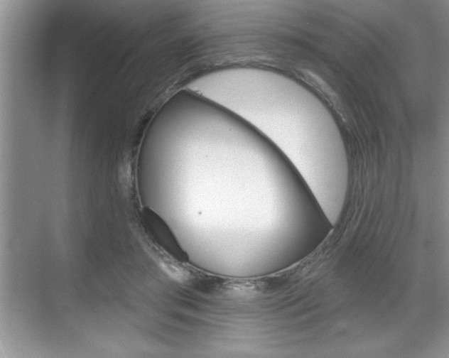 X0000070360405200606090805