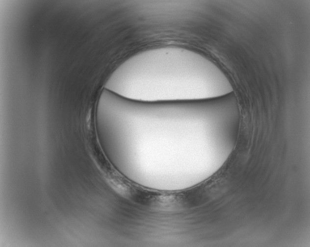 X0000070360406200606090805