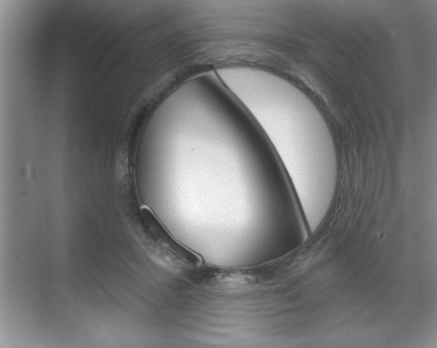 X0000070360407200606090805