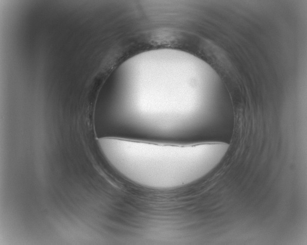 X0000070360408200606090805