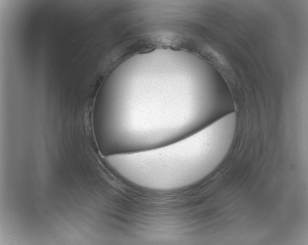 X0000070360409200606090805