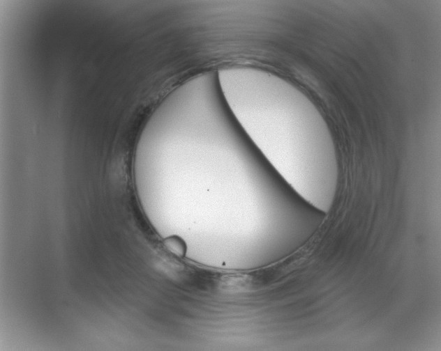 X0000070360410200606090805