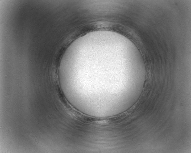 X0000070360411200606090805