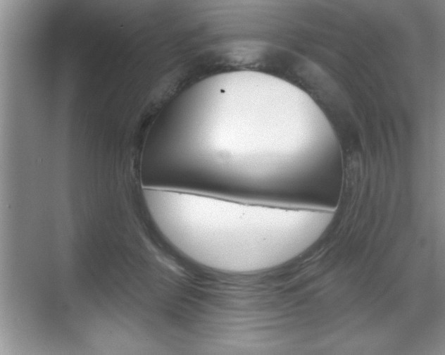 X0000070360412200606090805