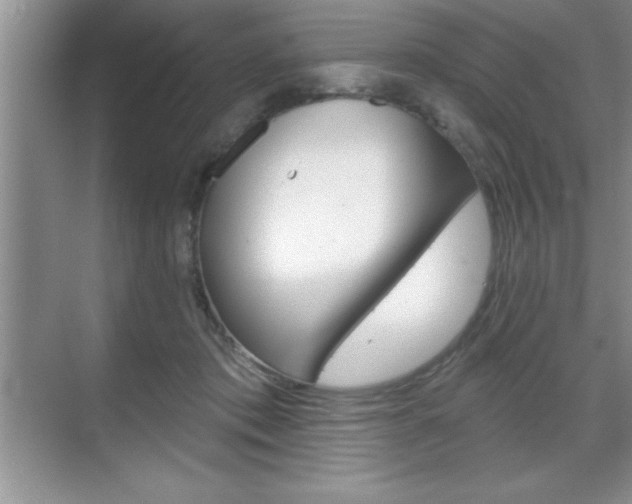 X0000070360413200606090805