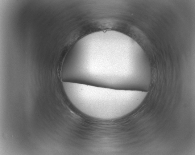 X0000070360414200606090805