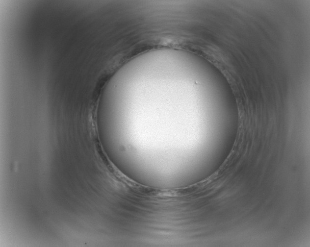 X0000070360415200606090805