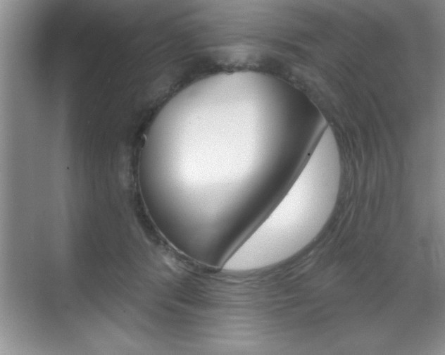 X0000070360416200606090805